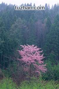 柏林赫塔迎来胜利，球队积分榜排名再次上升