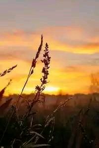 2-1！成都蓉城三杀山东泰山，王大雷染红，卡扎破门，费利佩梅开二度