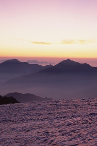 热那亚主场不敌萨索洛，保级形势渐显危机