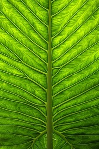 柏林赫塔迎来胜利，球队积分榜排名再次上升