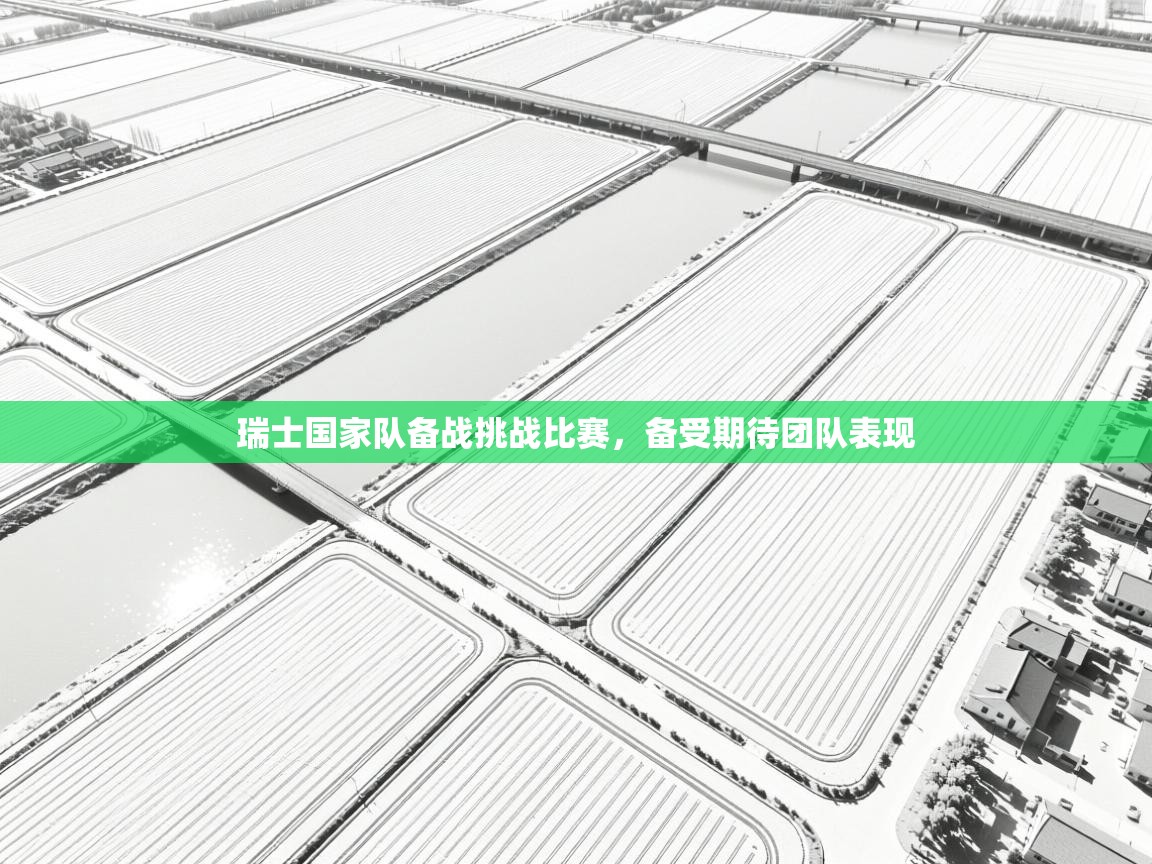 瑞士国家队备战挑战比赛，备受期待团队表现