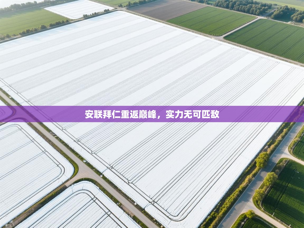 安联拜仁重返巅峰，实力无可匹敌